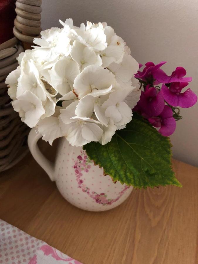 Rl Guesthouses Geilenkirchen Dış mekan fotoğraf